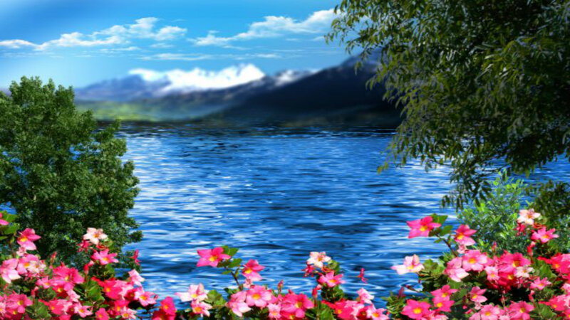 Flowers by Lake — Blue