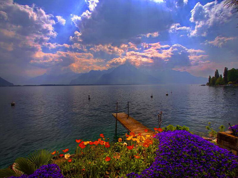 Flowers by Lake Dock — Blue