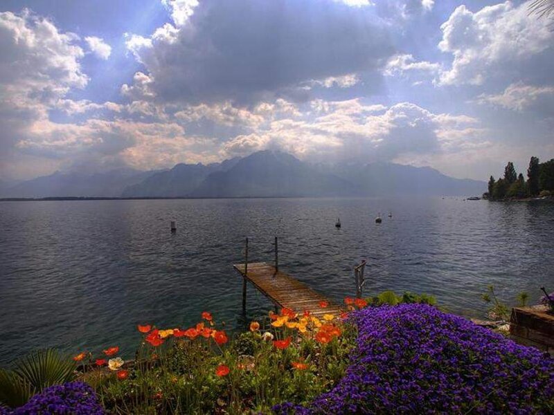 Flowers by Lake Dock — Purple