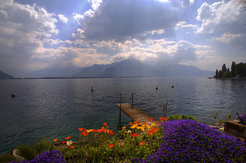 Flowers by Lake Dock