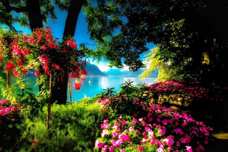 Flowers by Lake — Green, Serene, Afternoon, Photograph