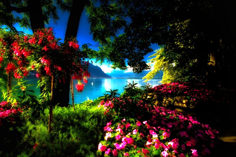 Flowers by Lake — Green, Serene, Afternoon