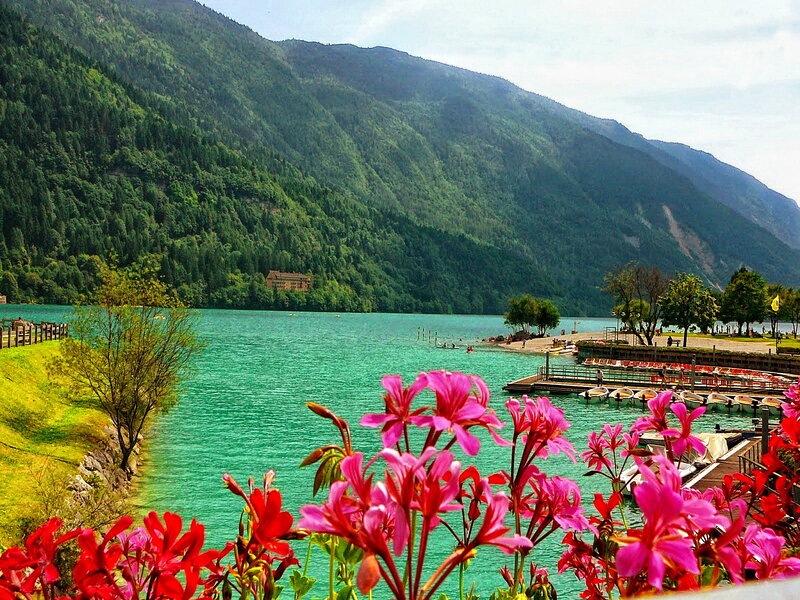 Flowers by Lake — Green