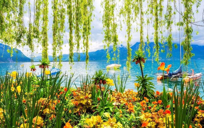 Flowers by Lake Shore — Green
