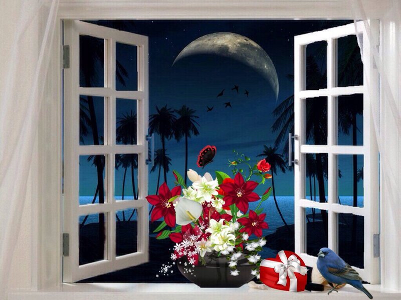 Flowers by Open Window