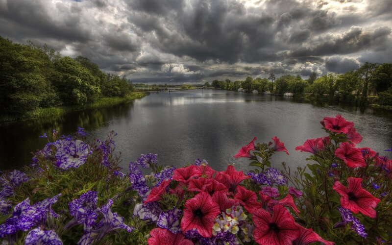 Flowers by River — Red