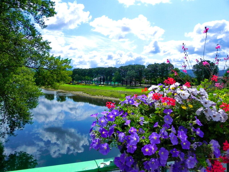 Flowers by River