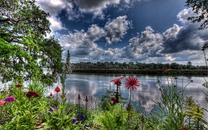 Flowers by Riverbank — Green, Dramatic, Afternoon