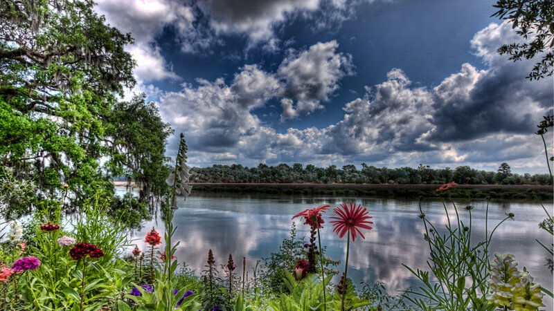 Flowers by Riverbank — Green, Dramatic