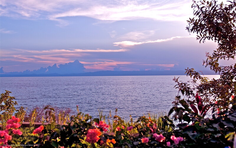 Flowers by the Lake — Blue
