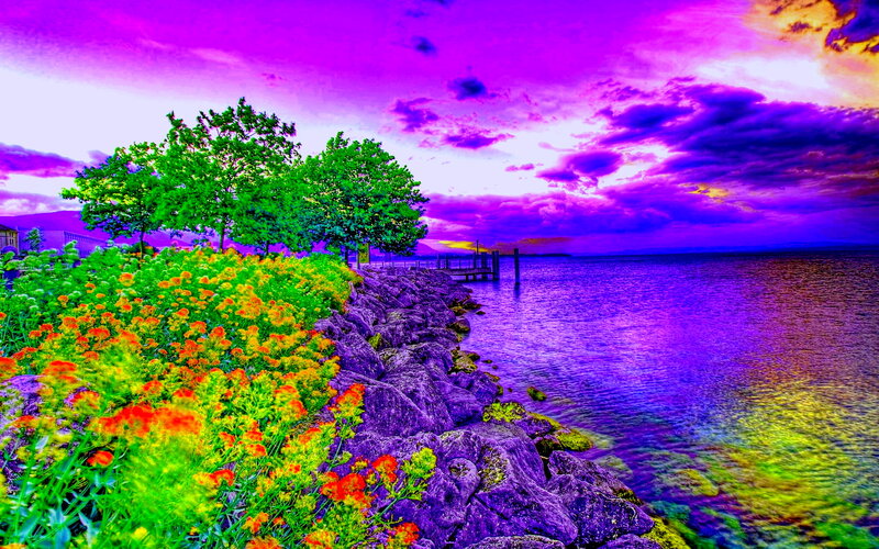 Flowers by the Lake — Purple, Dramatic