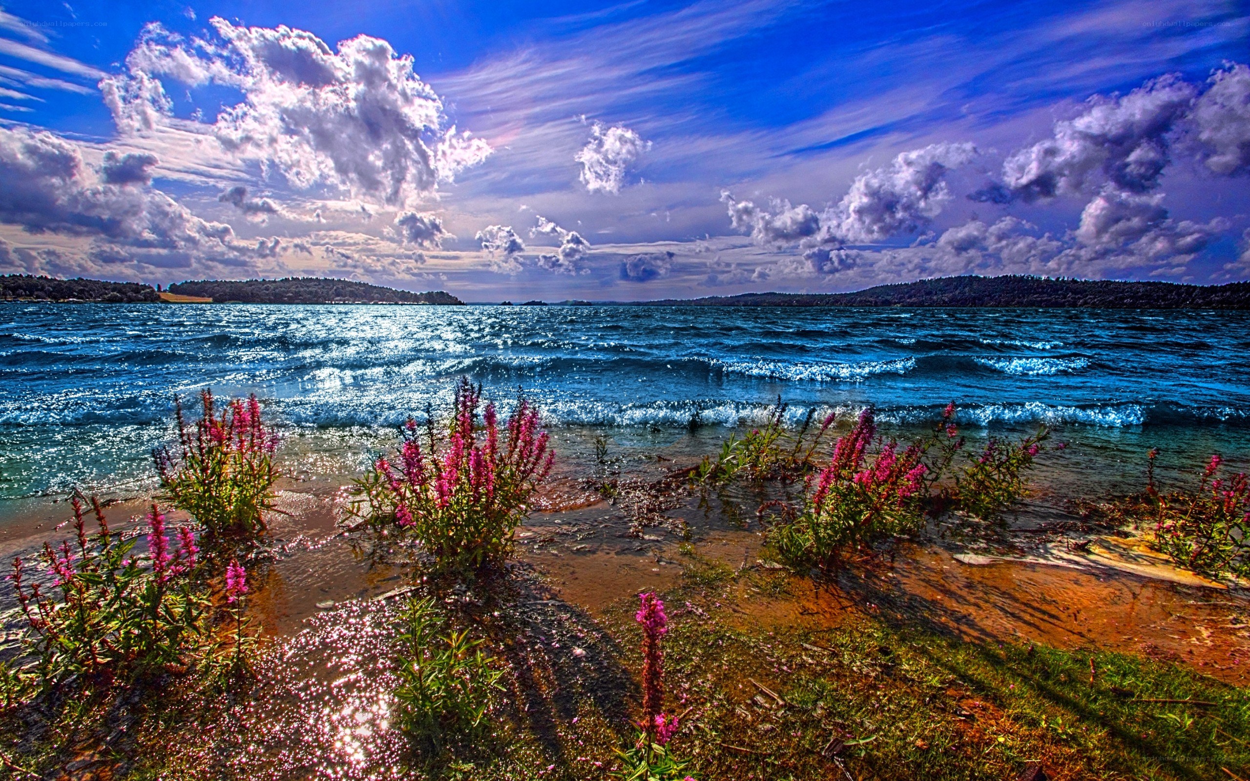 Flowers by the lakeside