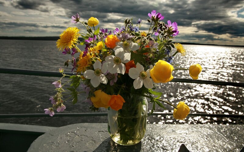 Flowers by the water