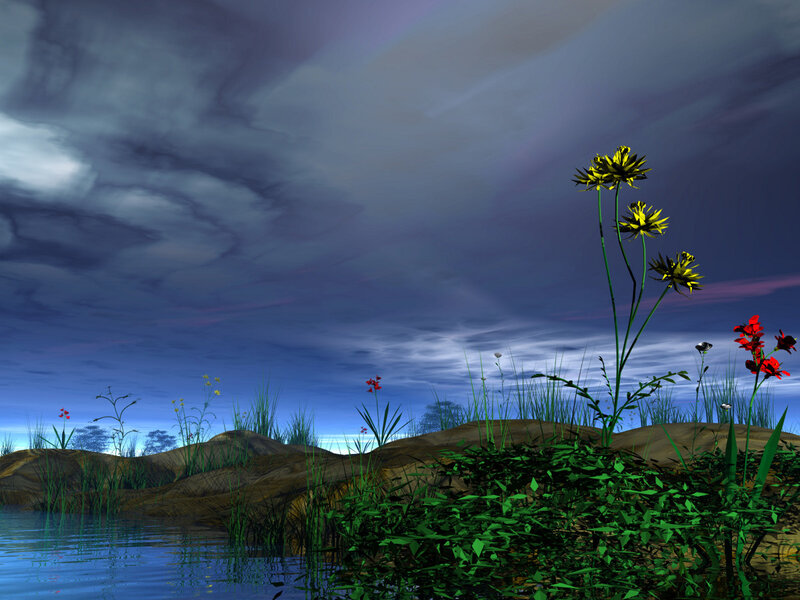 Flowers by the water at dusk