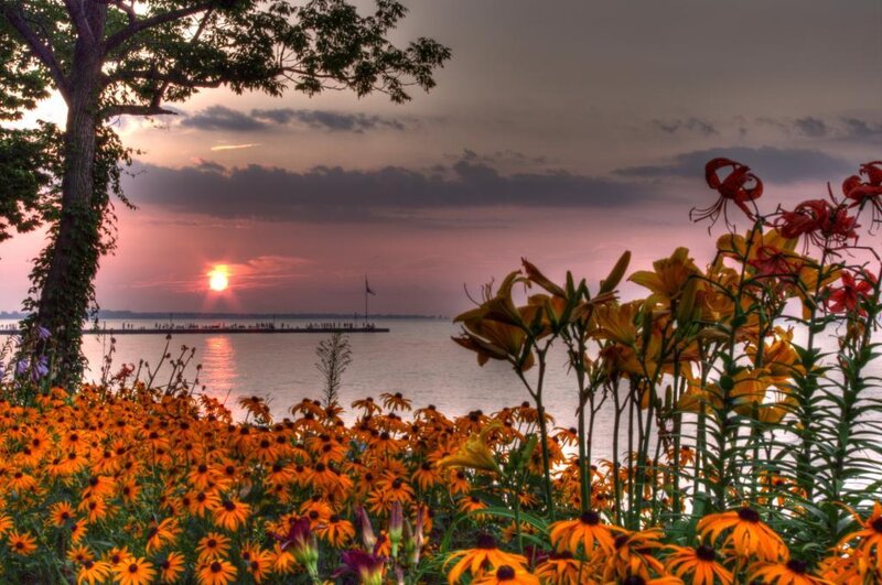 Flowers by the Water — Orange