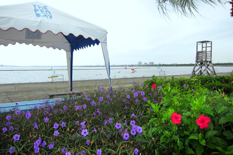 Flowers by the Water — Purple