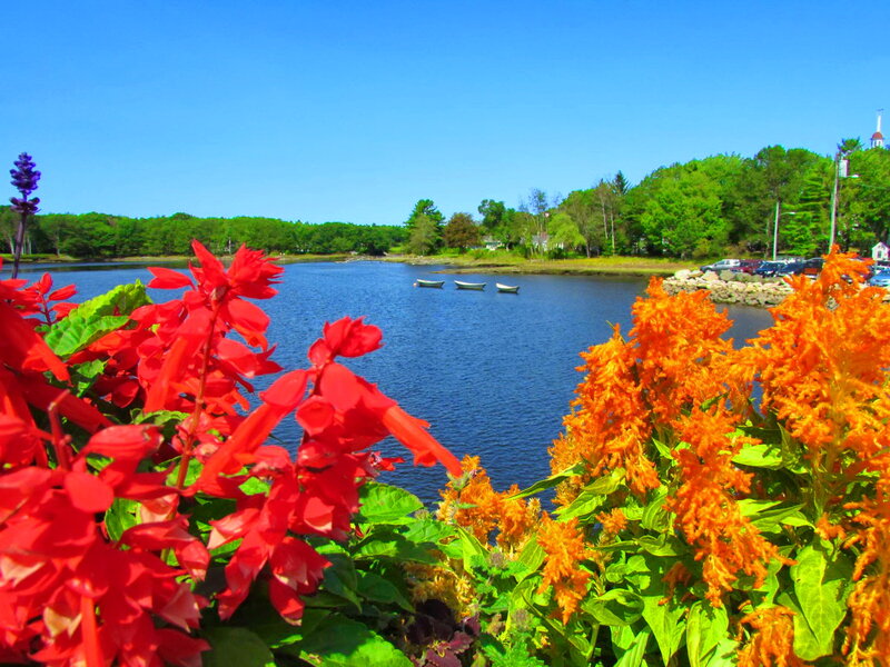 Flowers by the Water — Red