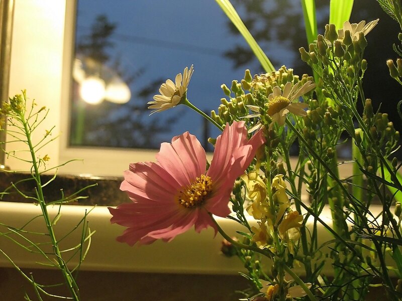 Flowers by the window