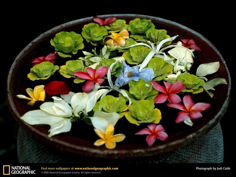 Flowers floating in a bowl
