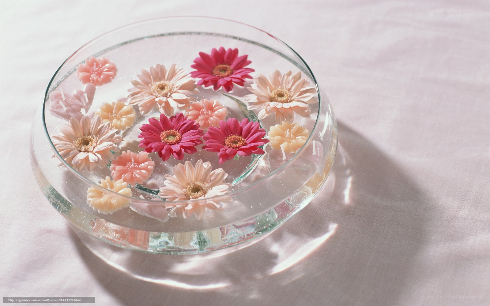 Flowers floating in a bowl