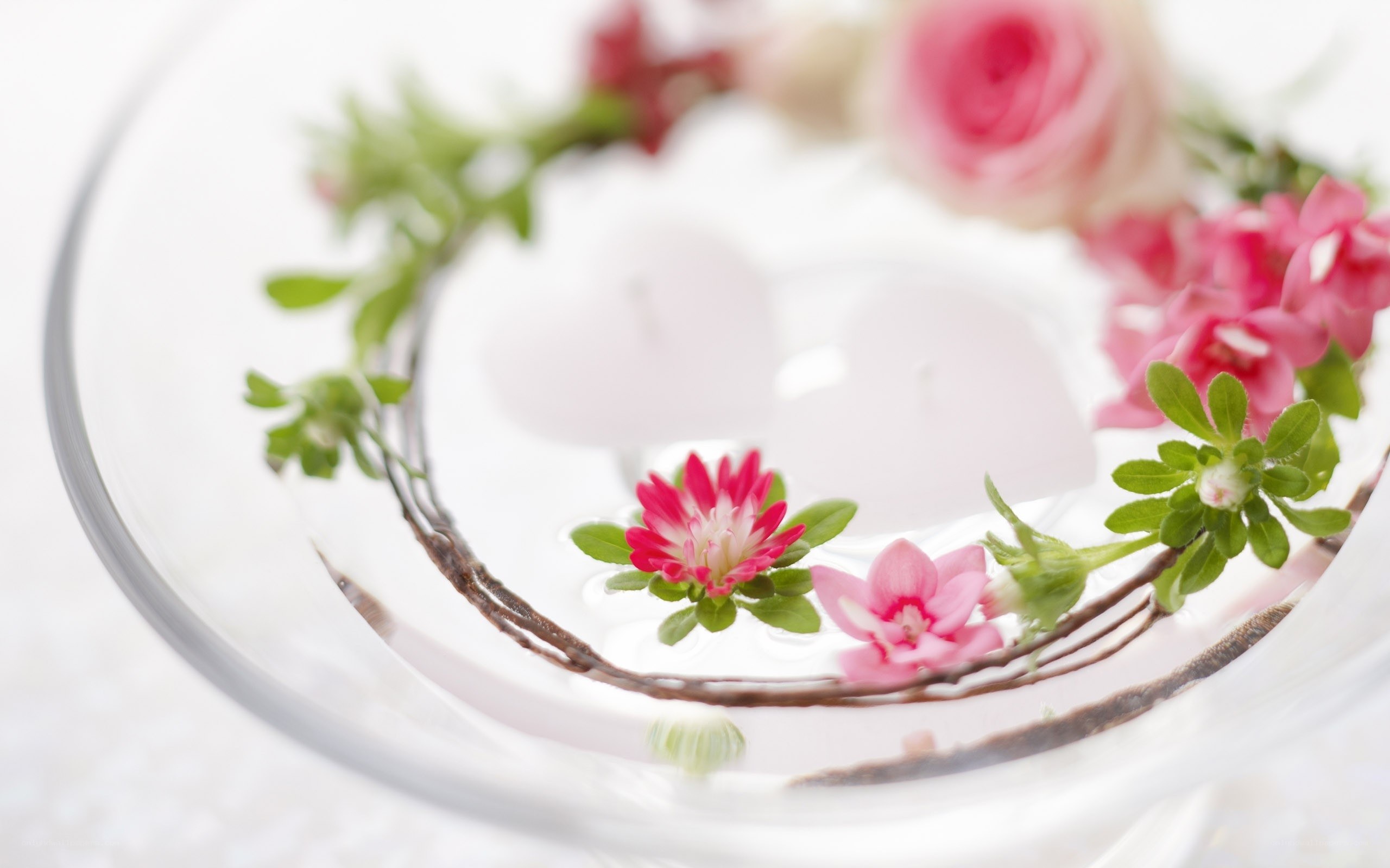Flowers floating in a glass bowl
