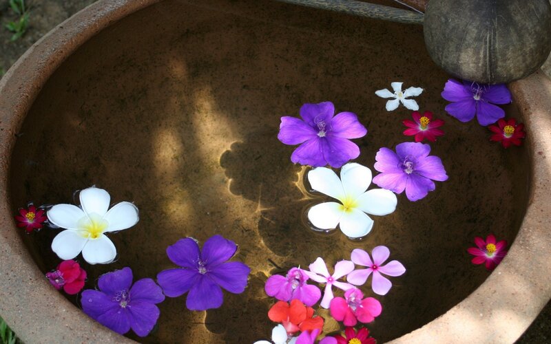 Flowers floating in a water bowl