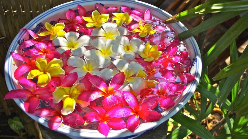 Flowers Floating in Bowl