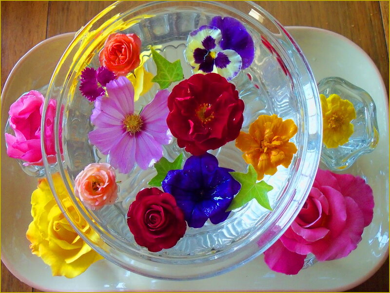 Flowers Floating in Water — Red, Calm