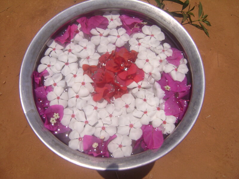 Flowers Floating in Water — White