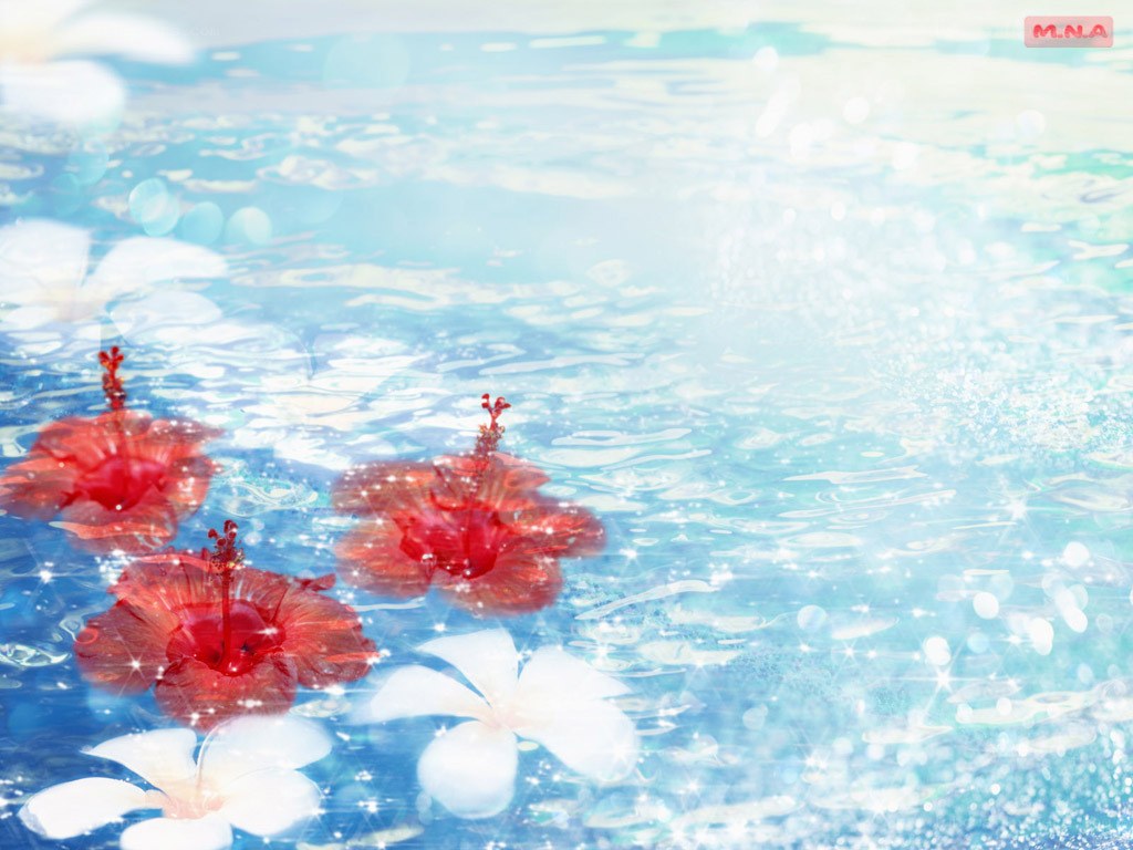 flowers floating on water