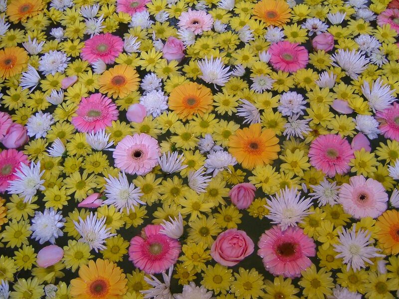 flowers floating on water