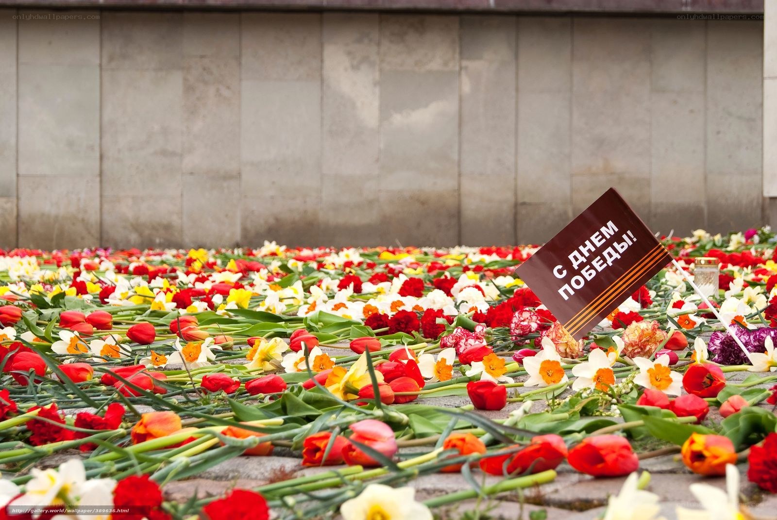 Flowers for Victory Day
