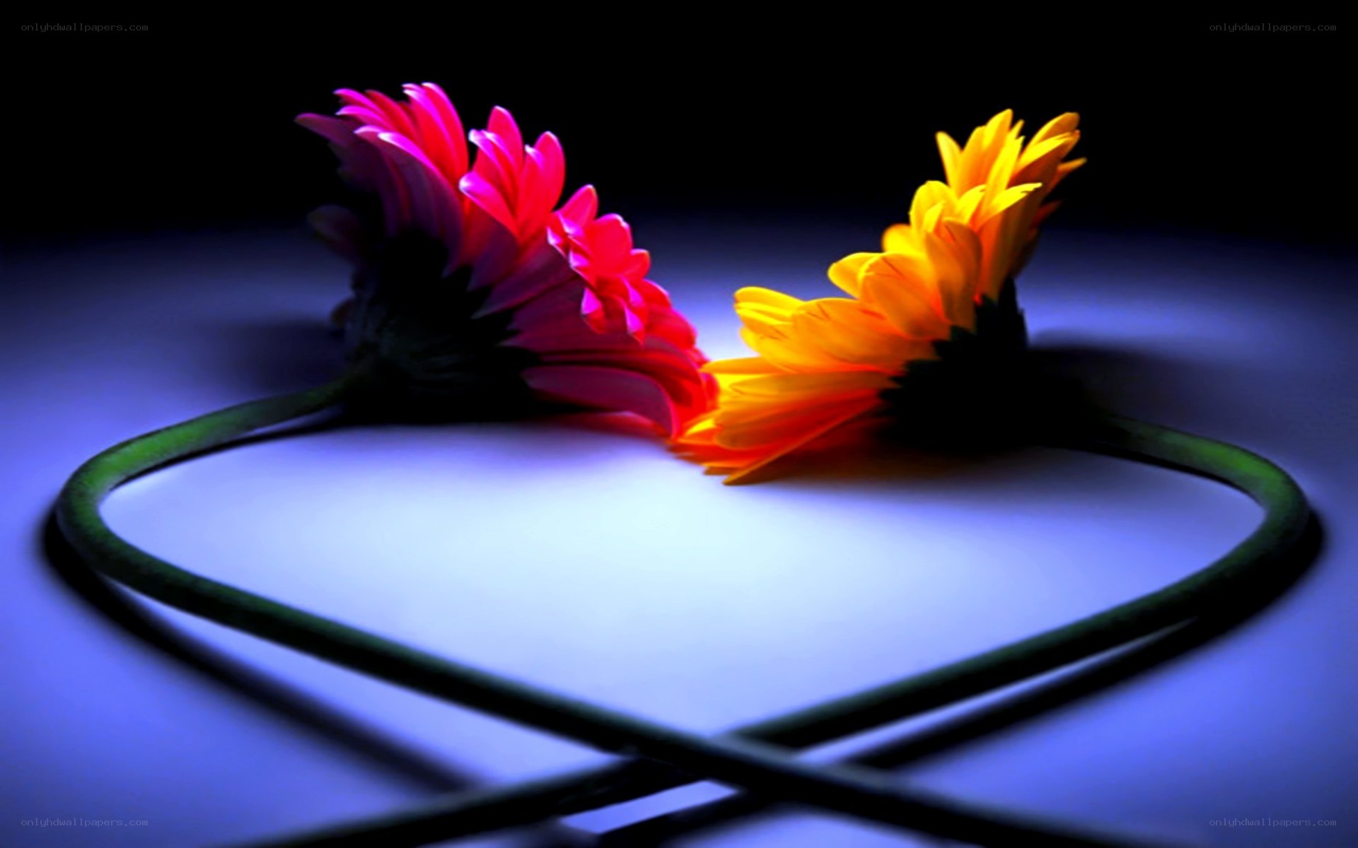 flowers forming a heart shape