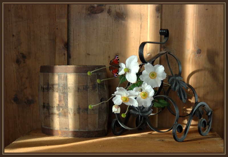 Flowers in a barrel
