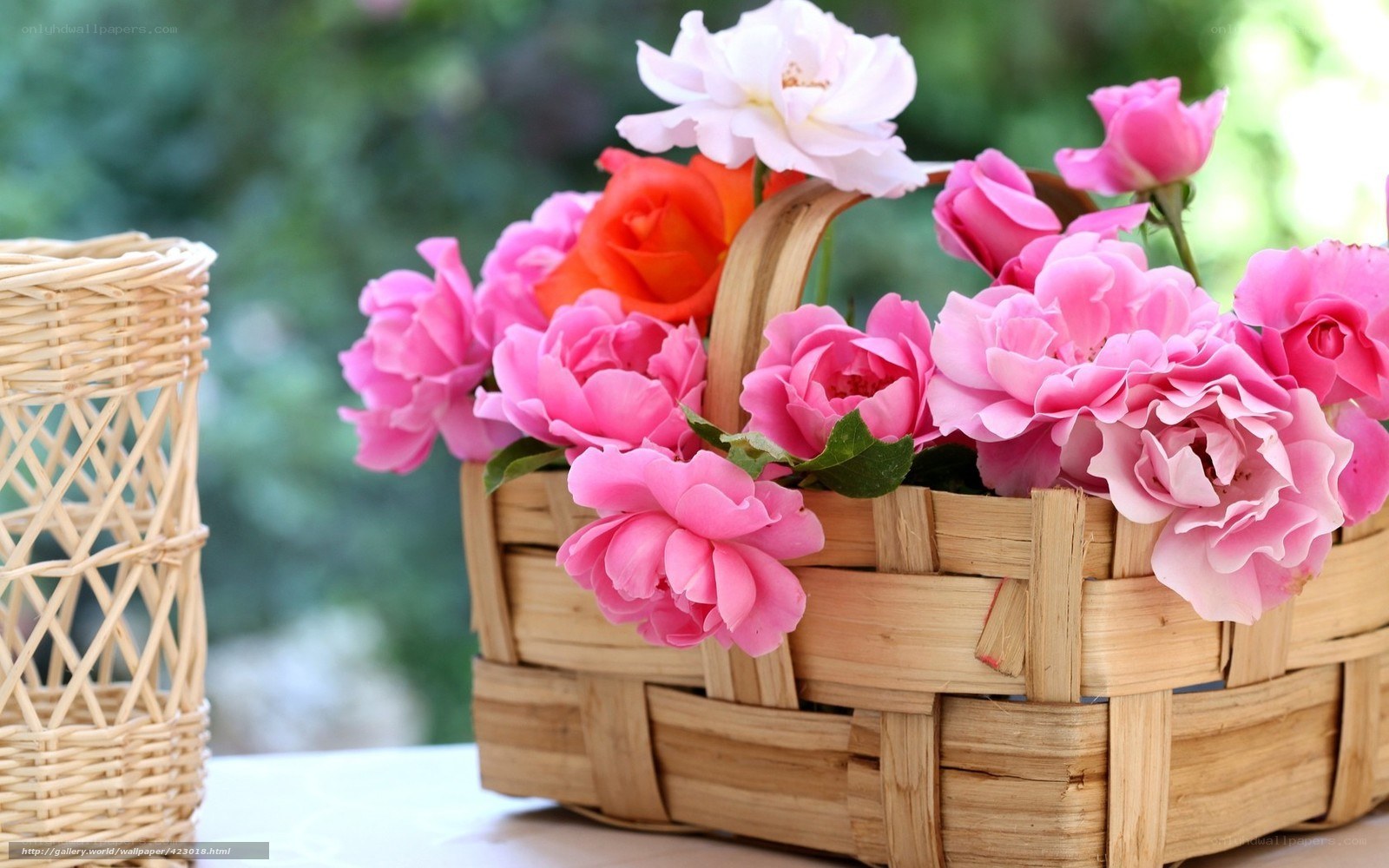 Flowers in a basket