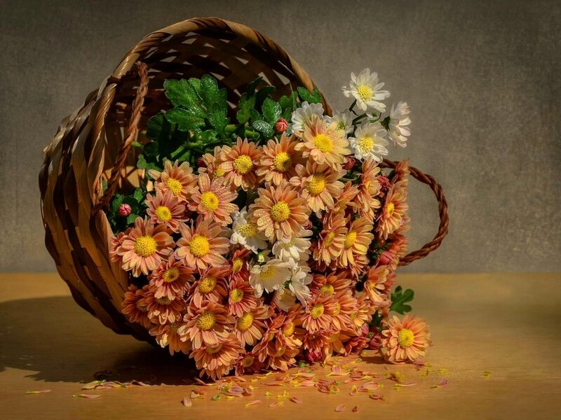 Flowers in a Basket — Brown, Calm, Afternoon