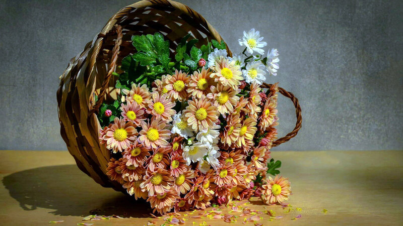 Flowers in a Basket — Brown, Calm