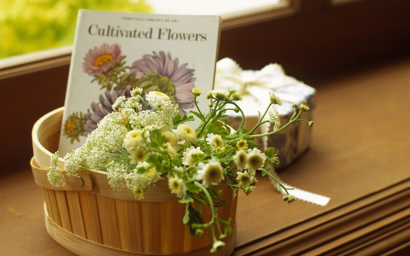 Flowers in a Basket — Brown, Serene