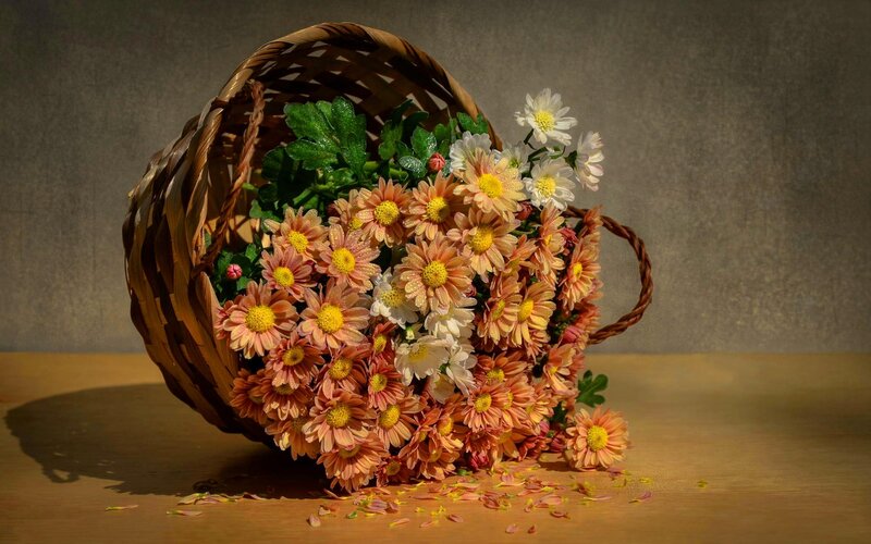 Flowers in a Basket — Brown