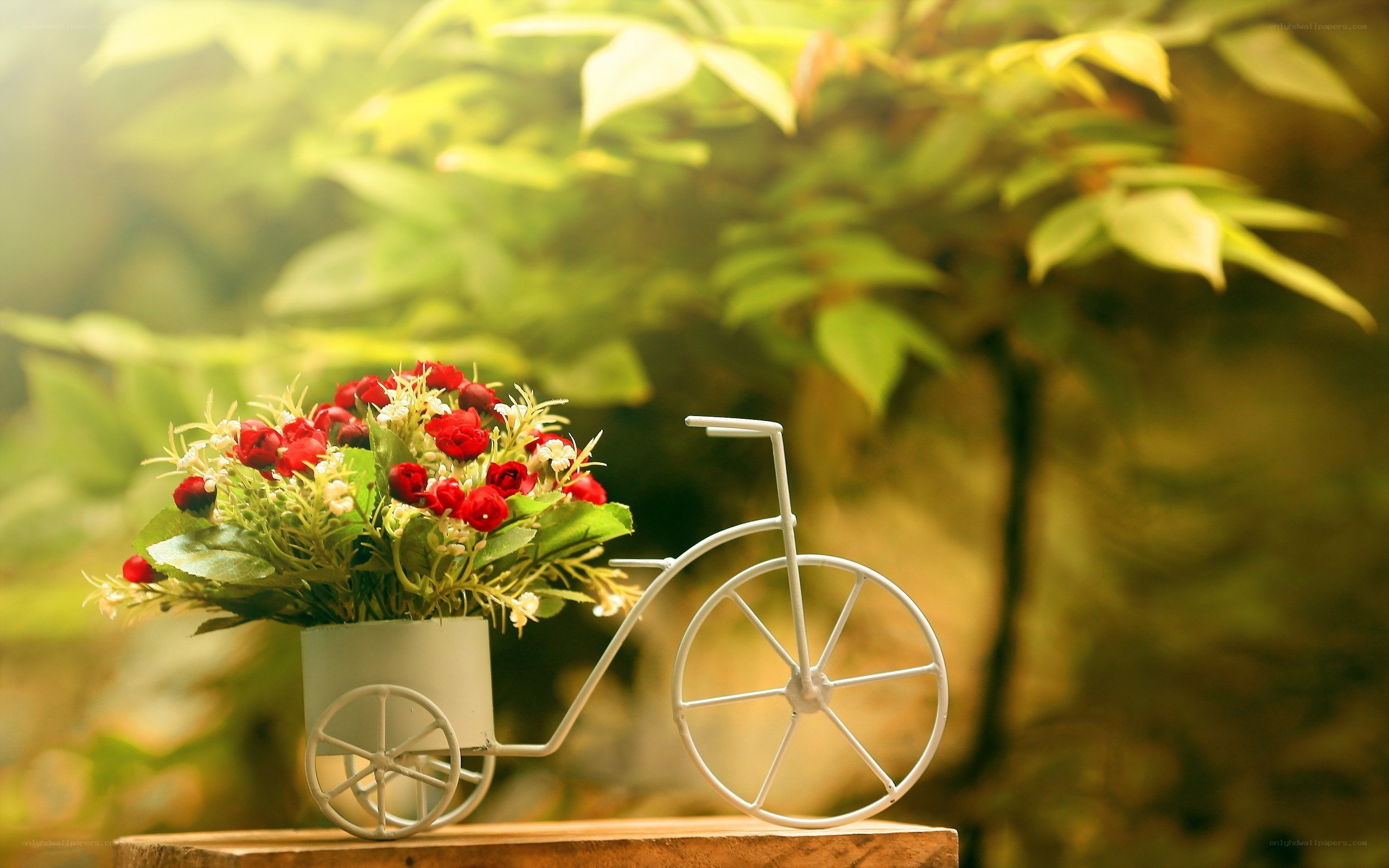 Flowers in a bicycle planter