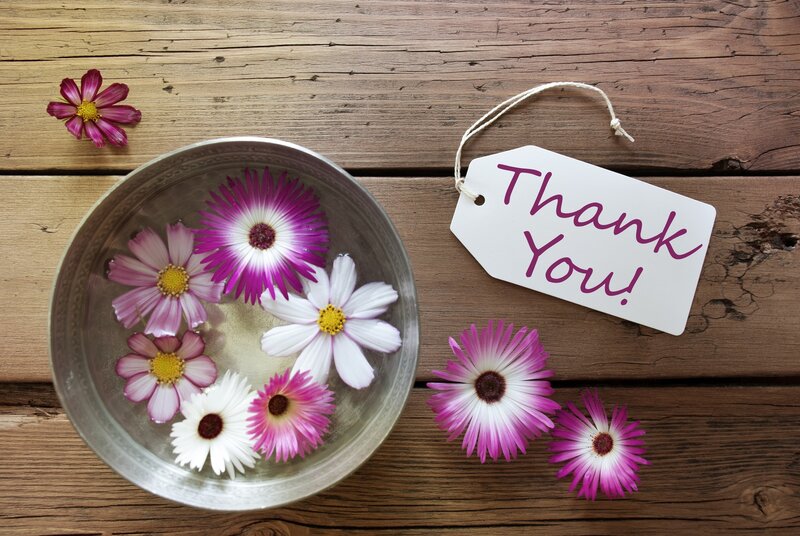 Flowers in a Bowl — Purple