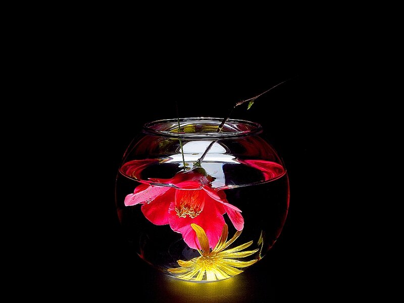 Flowers in a Bowl — Red