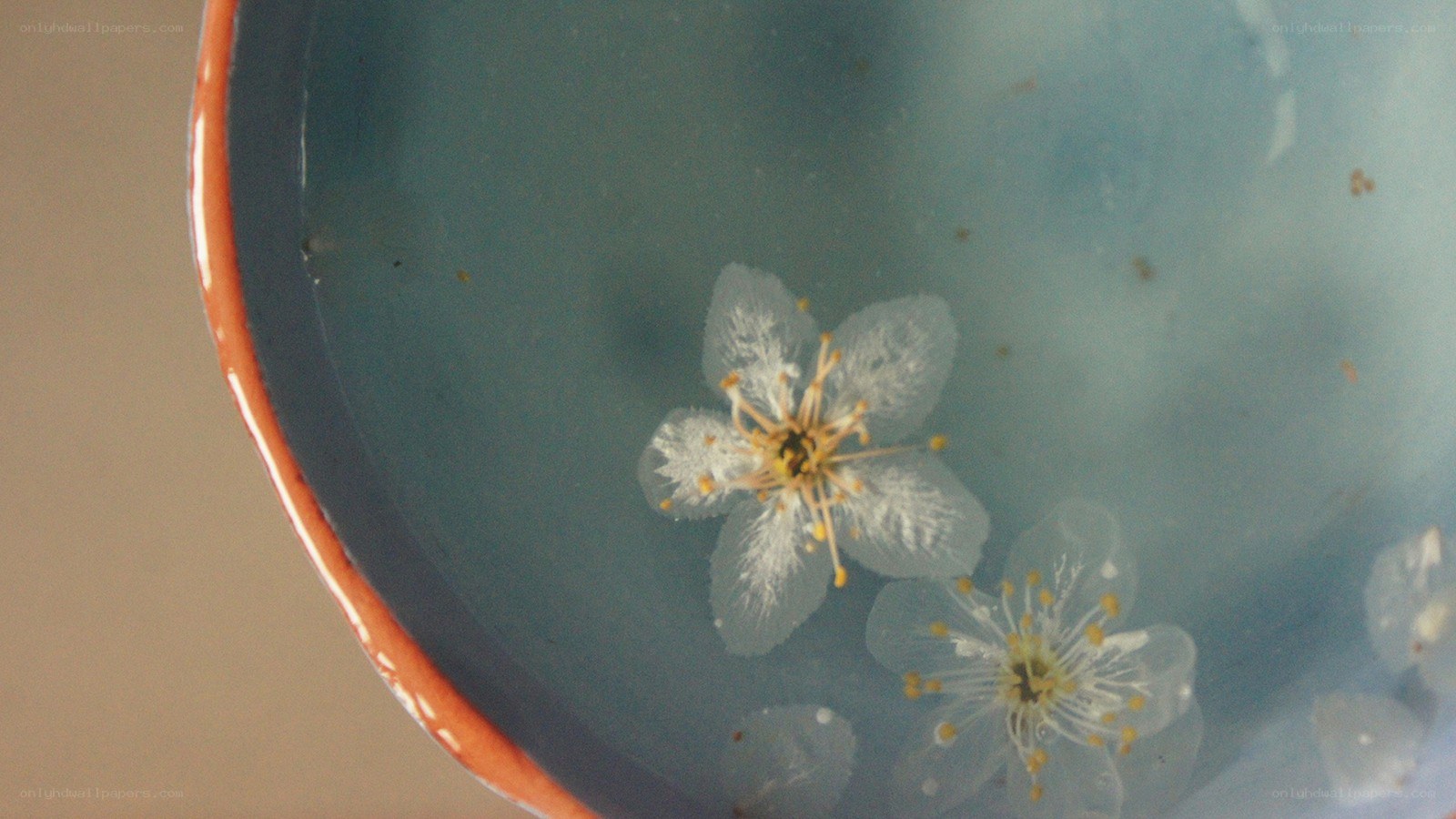 flowers in a bowl