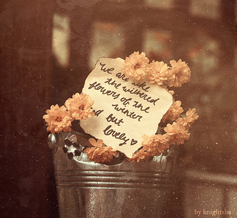 Flowers in a Bucket — Brown
