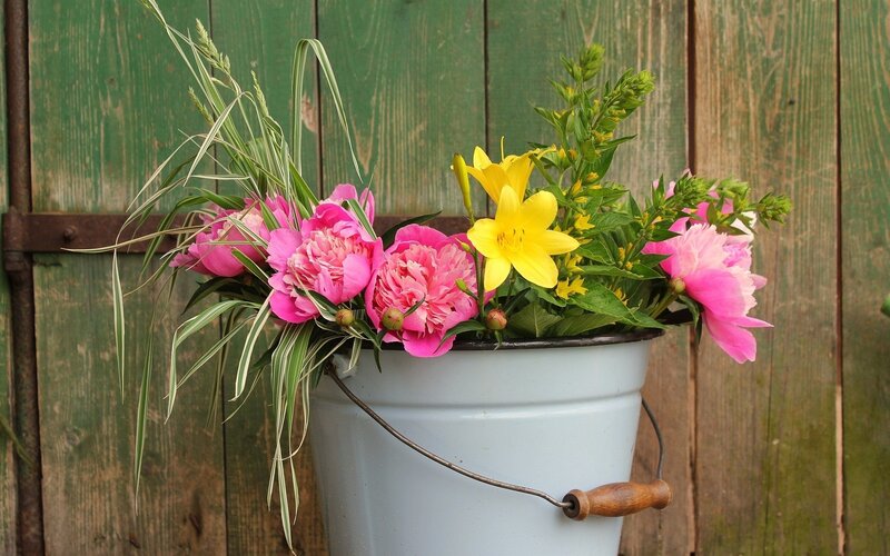 Flowers in a Bucket — Pink, Calm
