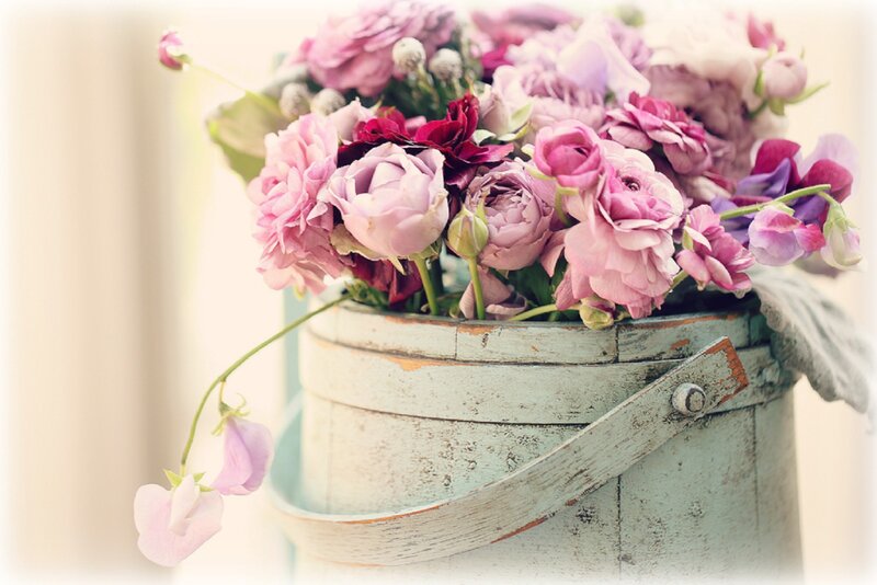 Flowers in a Bucket — Pink, Serene