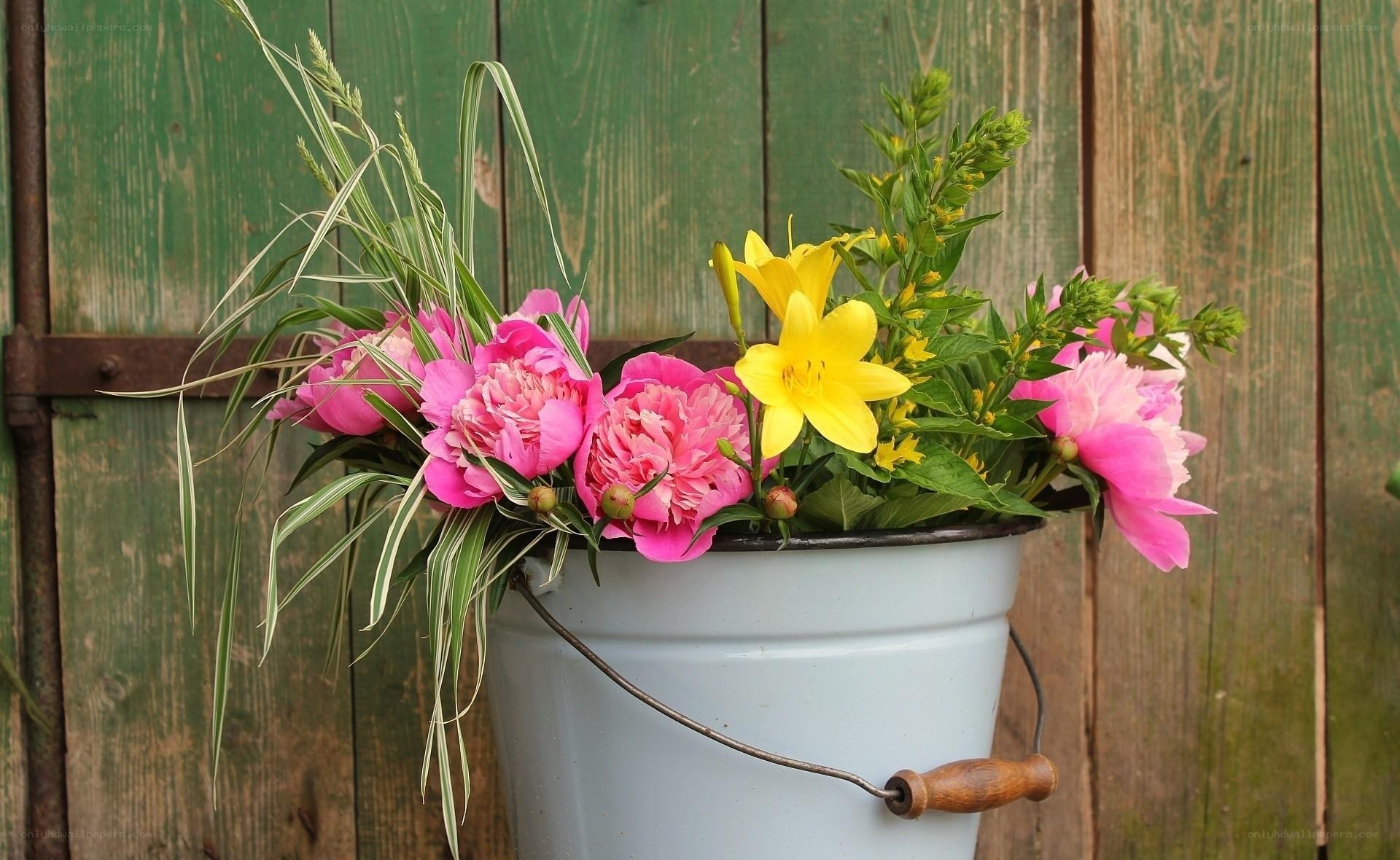 Flowers in a bucket