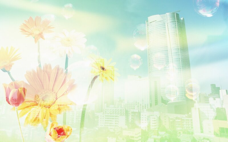 Flowers in a cityscape