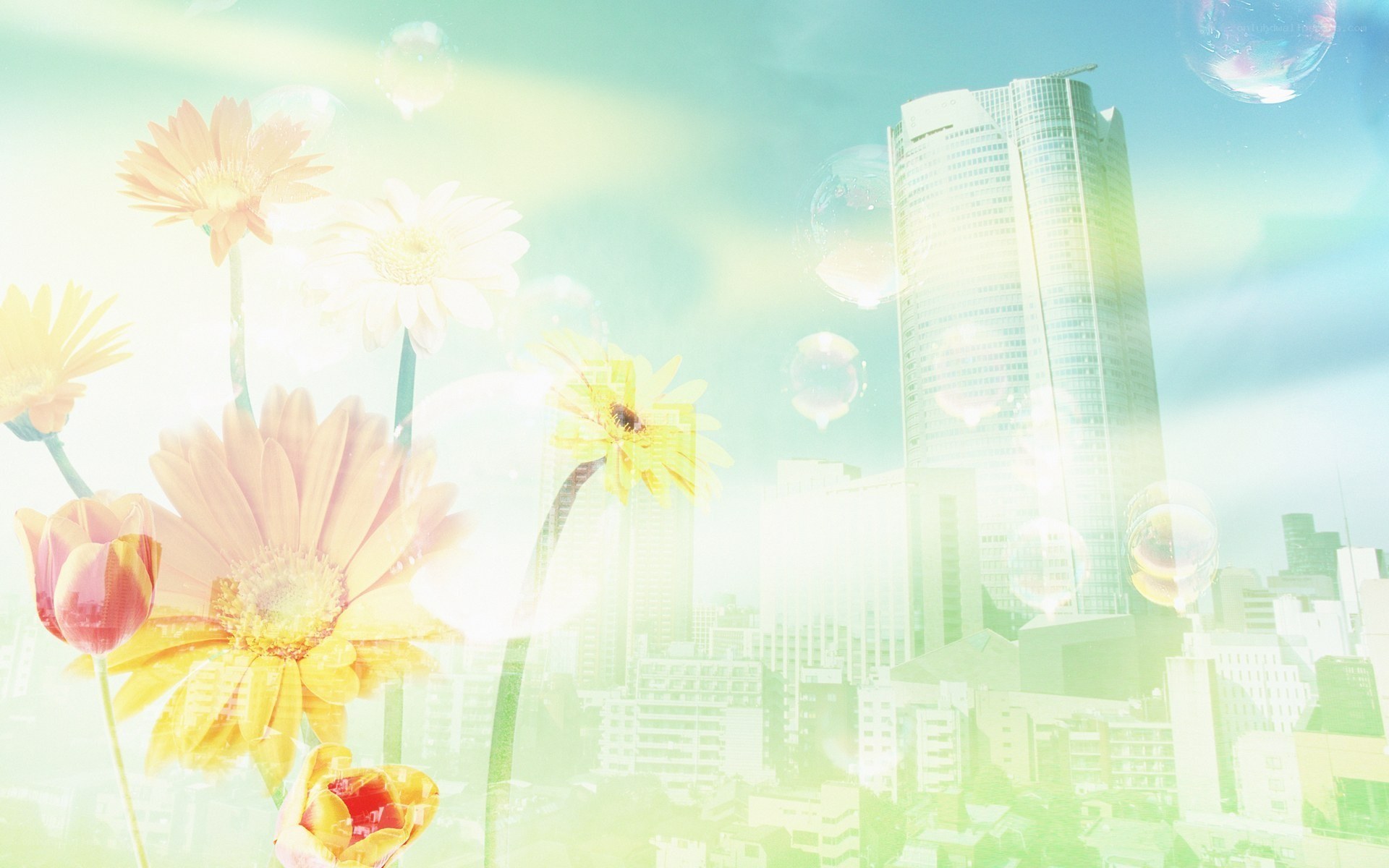 Flowers in a cityscape
