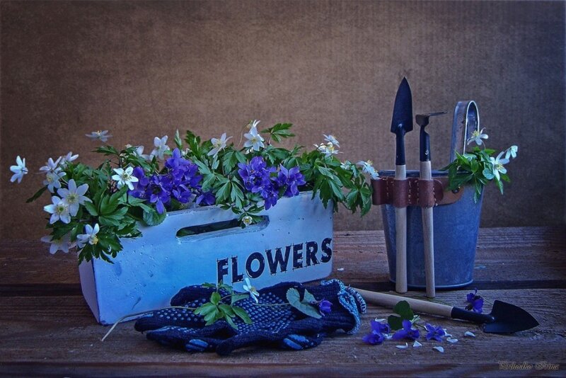 Flowers in a Crate
